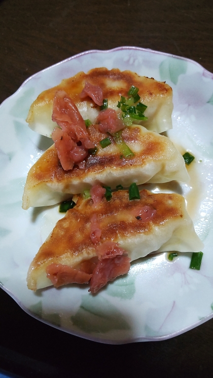 餃子 ( 梅 ネギ ポン酢 )