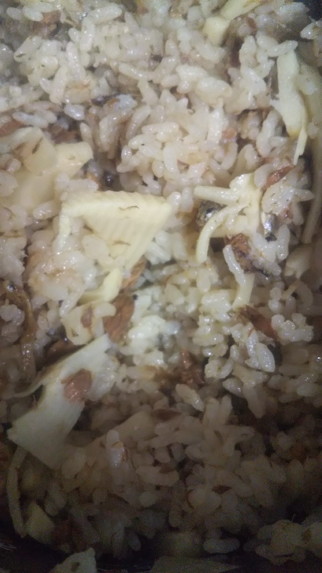 タケノコ御飯