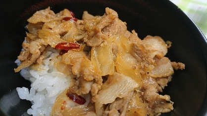 ねぎ塩豚肉丼