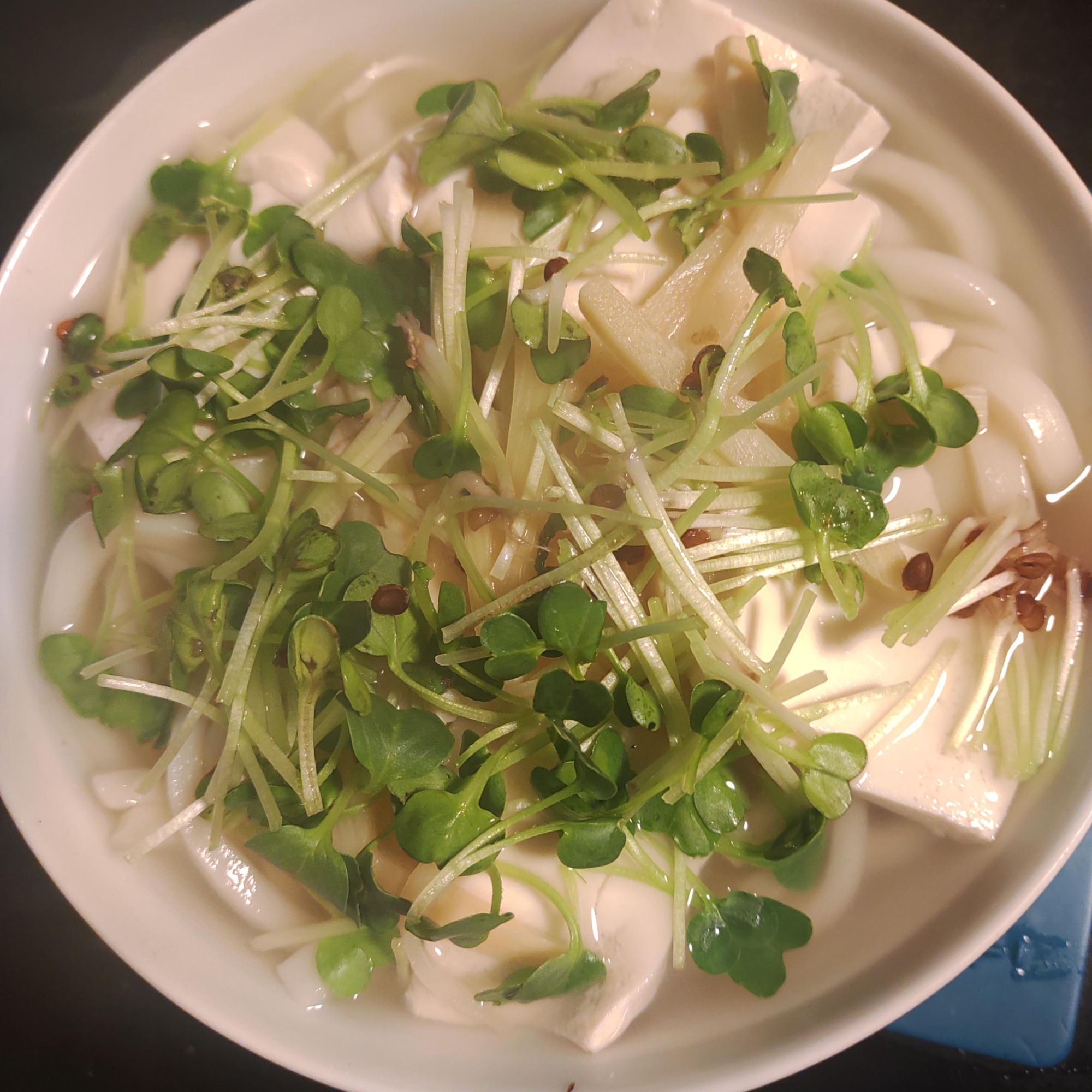 豆腐、たけのこ、かいわれのうどん
