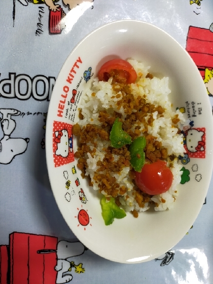 ヒムニャン( ΦωΦ )トマト入りガパオライス美味しかったよ° ✧ (*´ `*) ✧ °ガバオと思ったらガパオのパだった笑笑