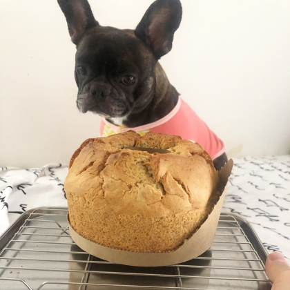 愛犬用　❤キャロブ入り　パウンドケーキ❤