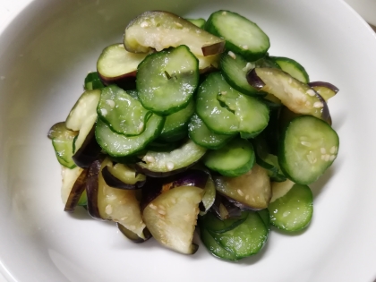 こんばんは☆
酸味のあるお漬物が食べたくて検索して、ヒット。
簡単にできて、梅干しの苦手な夫もガッツリ食べていました。みりんがいいですね。おいしく頂きました♪