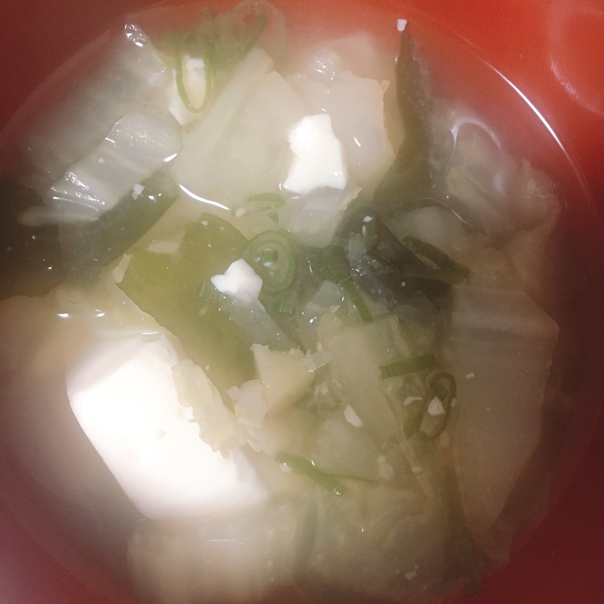 白菜豆腐わかめネギのお味噌汁