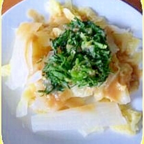 春らんらんナズナと白菜のサラダ レシピ 作り方 By ハッチシバ 楽天レシピ 春らんらんナズナと白菜のサラダ レシピ 作り方 By ハッチシバ 楽天レシピ