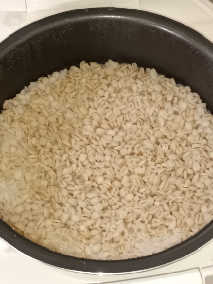 目指せ麦飯上級者！　ほぼ５割麦ご飯の覚書イエア！