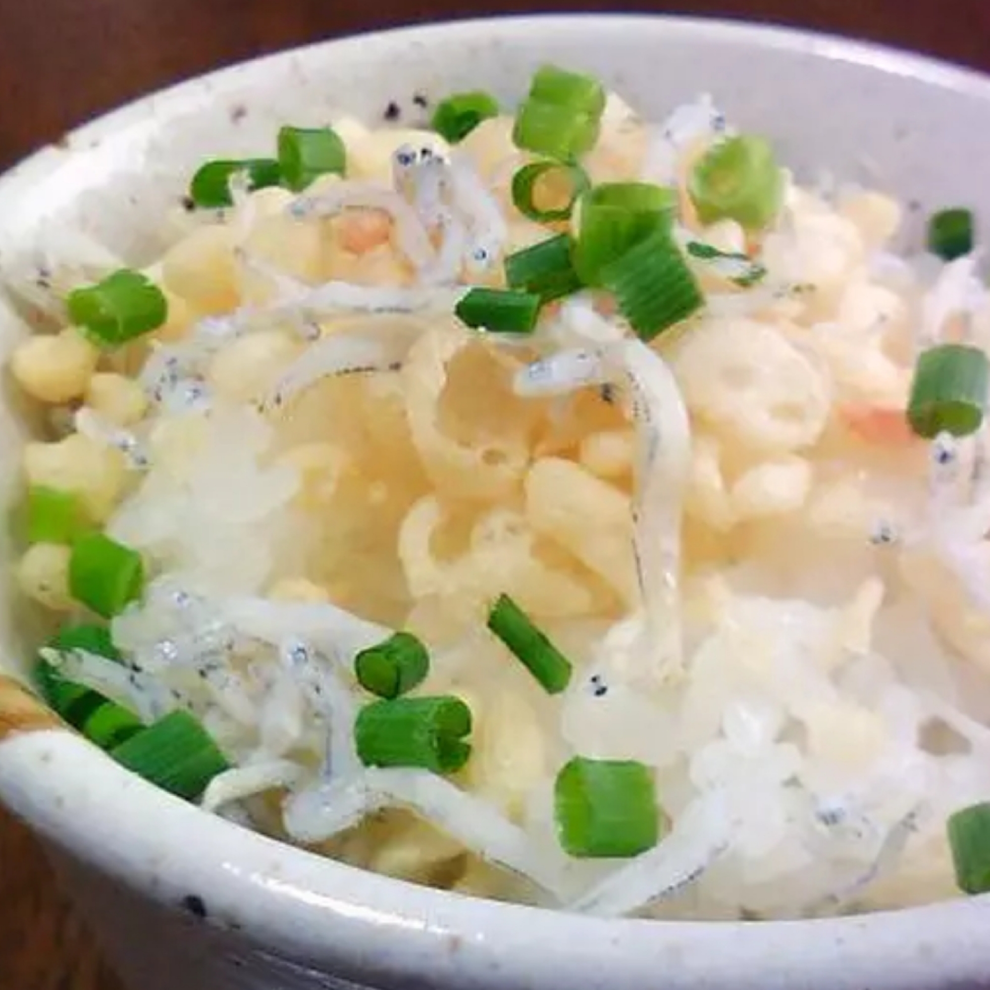 天かすしらす丼