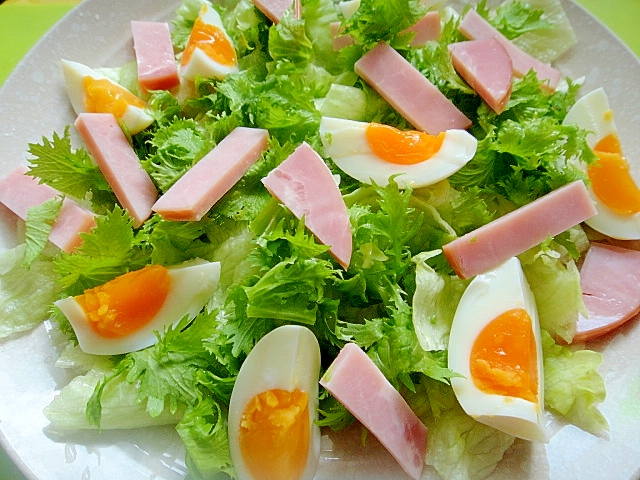 ゆで卵とハムわさび菜のサラダ