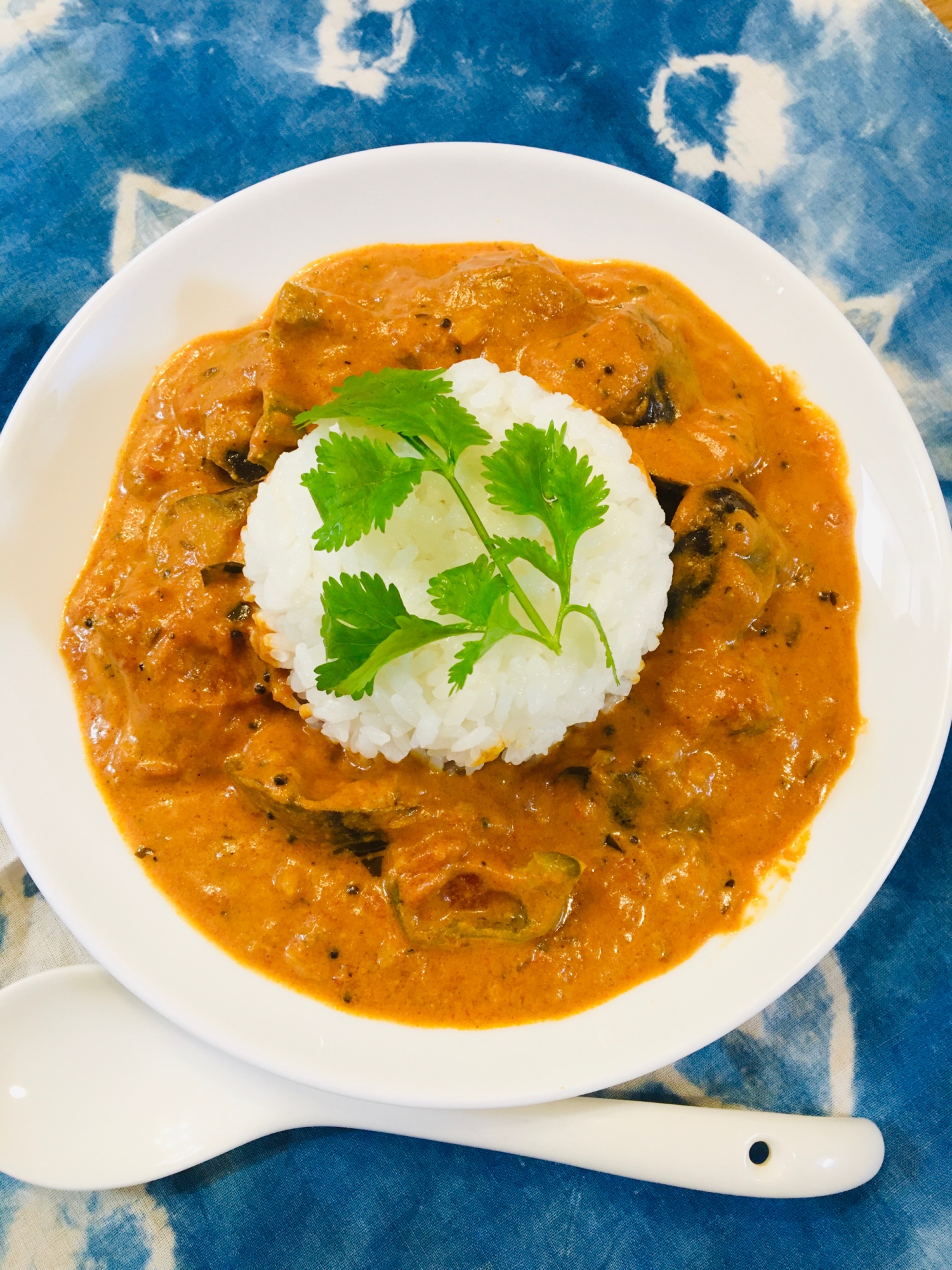 簡単本格派!南インドカレー