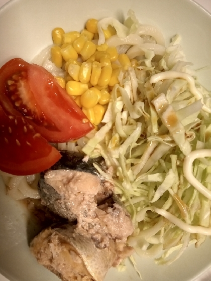 春キャベツでサラダうどん