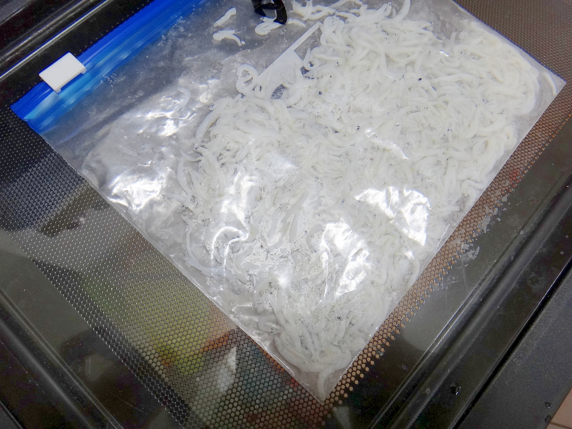 離乳食*しらすの冷凍保存方法