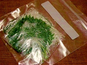 緑そのまま シソの保存は茹でる 塩 冷凍 レシピ 作り方 By ブルーボリジ 楽天レシピ