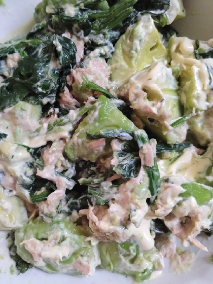 栄養満点♡アボカドとほうれん草のツナマヨ和え