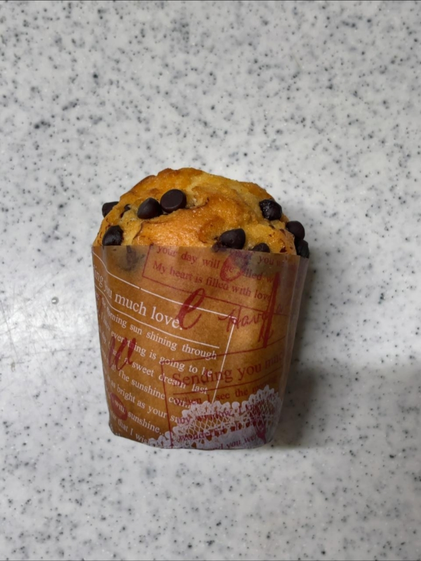 チョコチップケーキ