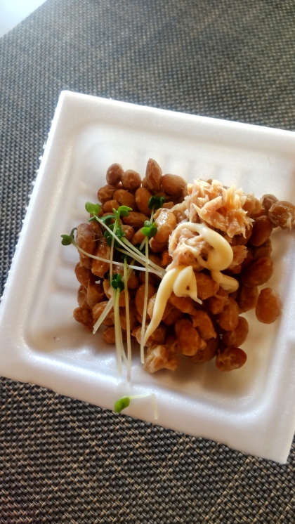 納豆アレンジ 貝割れ菜&ツナ マヨかけて