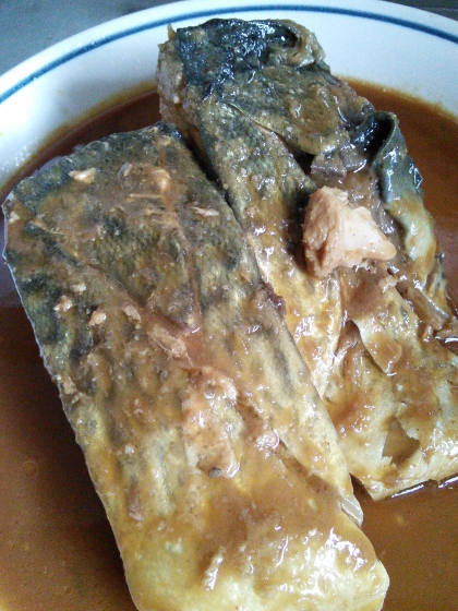 釣りたての鯖です

このレシピがあるから安心して調理できました(^_^)v

とっても美味しかったです。ごちそうさまでしたヽ(*´∀｀)ﾉ♪