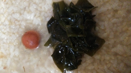 ワカメ酢と梅干しの発芽玄米粥