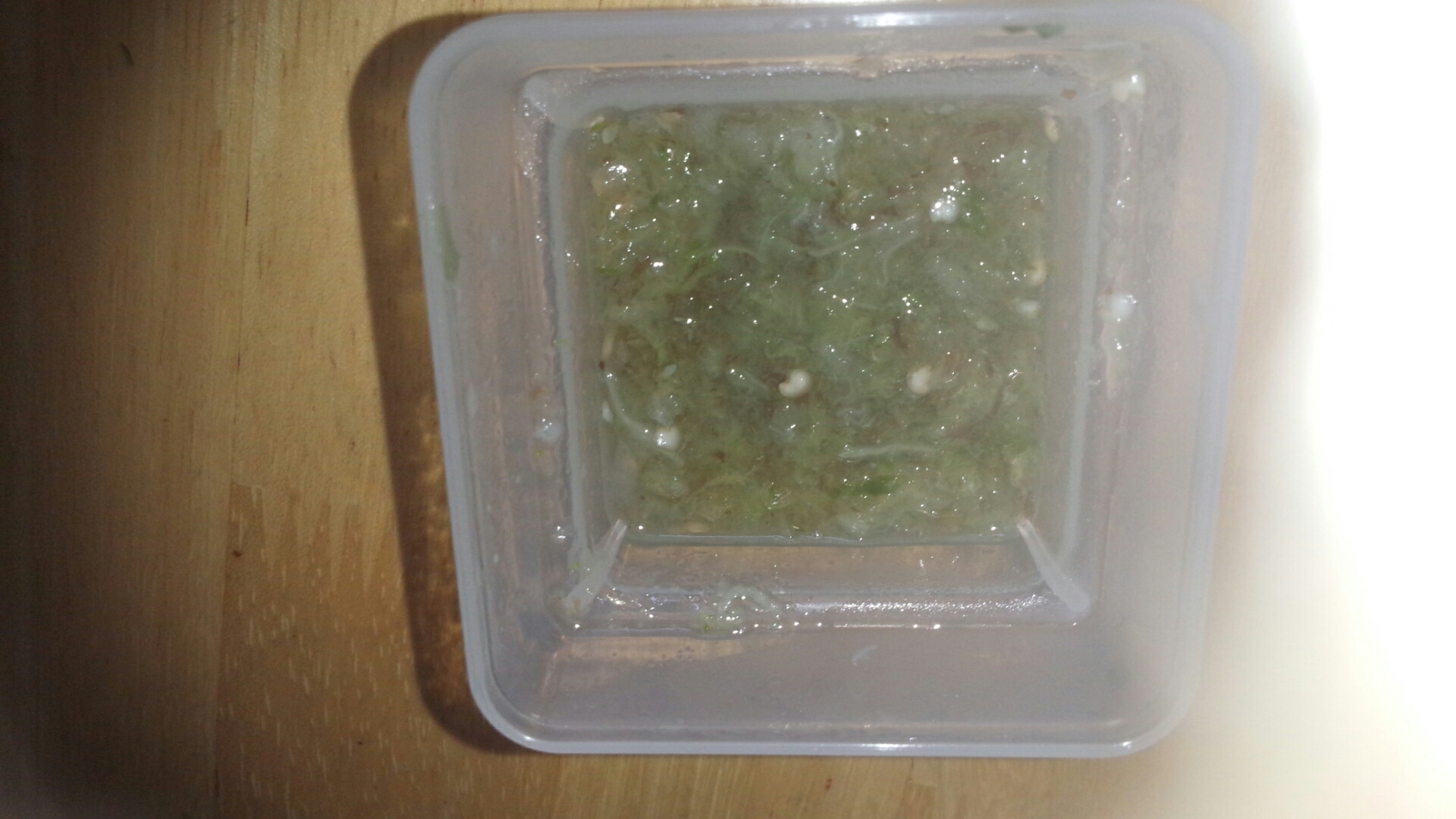 離乳食初期 きゅうりとナスの和え物 レシピ 作り方 By たくみ905 楽天レシピ 離乳食初期 きゅうりとナスの和え物 レシピ 作り方 By たくみ905 楽天レシピ