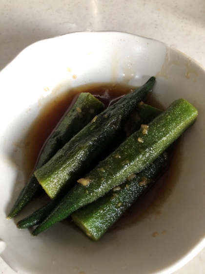 庭でオクラが採れたので作りました
いつもと違う感じで食べれてよかったです