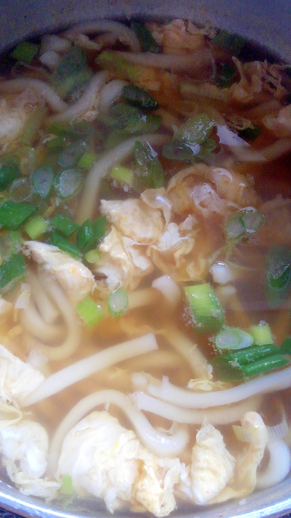 ネギたっぷり★卵の白だしうどん