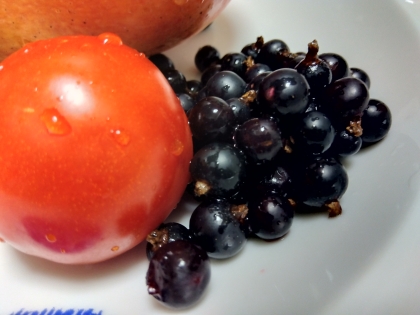 ブルーベリーセット