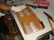 素人でもできる うなぎの蒲焼き V2 0 レシピ 作り方 By みやけん船長 楽天レシピ 素人でもできる うなぎの蒲焼き V2 0 レシピ 作り方 By みやけん船長 楽天レシピ