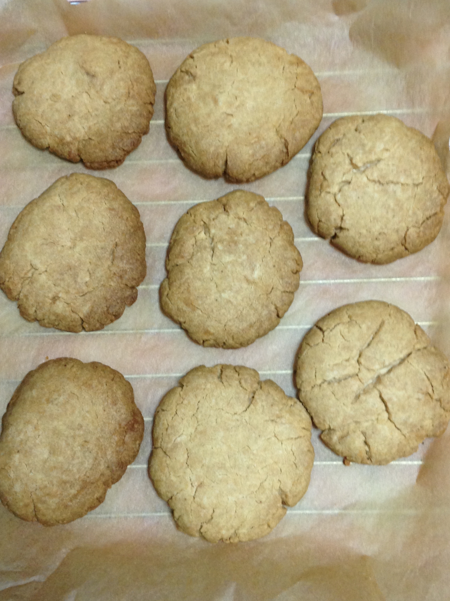 クッキー カルダモン ナツメグ レシピ 作り方 By Faiten8 楽天レシピ クッキー カルダモン ナツメグ レシピ 作り方 By Faiten8 楽天レシピ