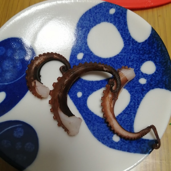 たこの干物 レシピ 作り方 By タコ釣り師 楽天レシピ たこの干物 レシピ 作り方 By タコ釣り師 楽天レシピ