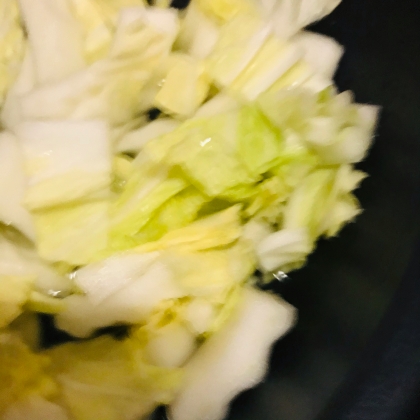 白菜と大根の水炊き