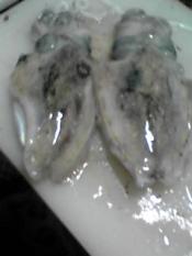 酒の肴 甲烏賊の刺身 甲烏賊のさばき方 保存 レシピ 作り方 By はっとはっと 楽天レシピ 酒の肴 甲烏賊の刺身 甲烏賊のさばき方 保存 レシピ 作り方 By はっとはっと 楽天レシピ