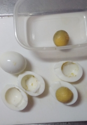 切り方のコツ 卵サラダ レシピ 作り方 By ハトリーナ 楽天レシピ 切り方のコツ 卵サラダ レシピ 作り方 By ハトリーナ 楽天レシピ