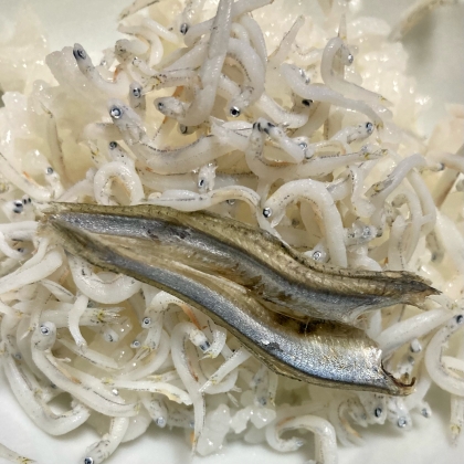 鰯親子ご飯♪いわししらすごはん♪ほぐして乗せても♪