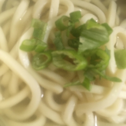 白だし汁のうどん