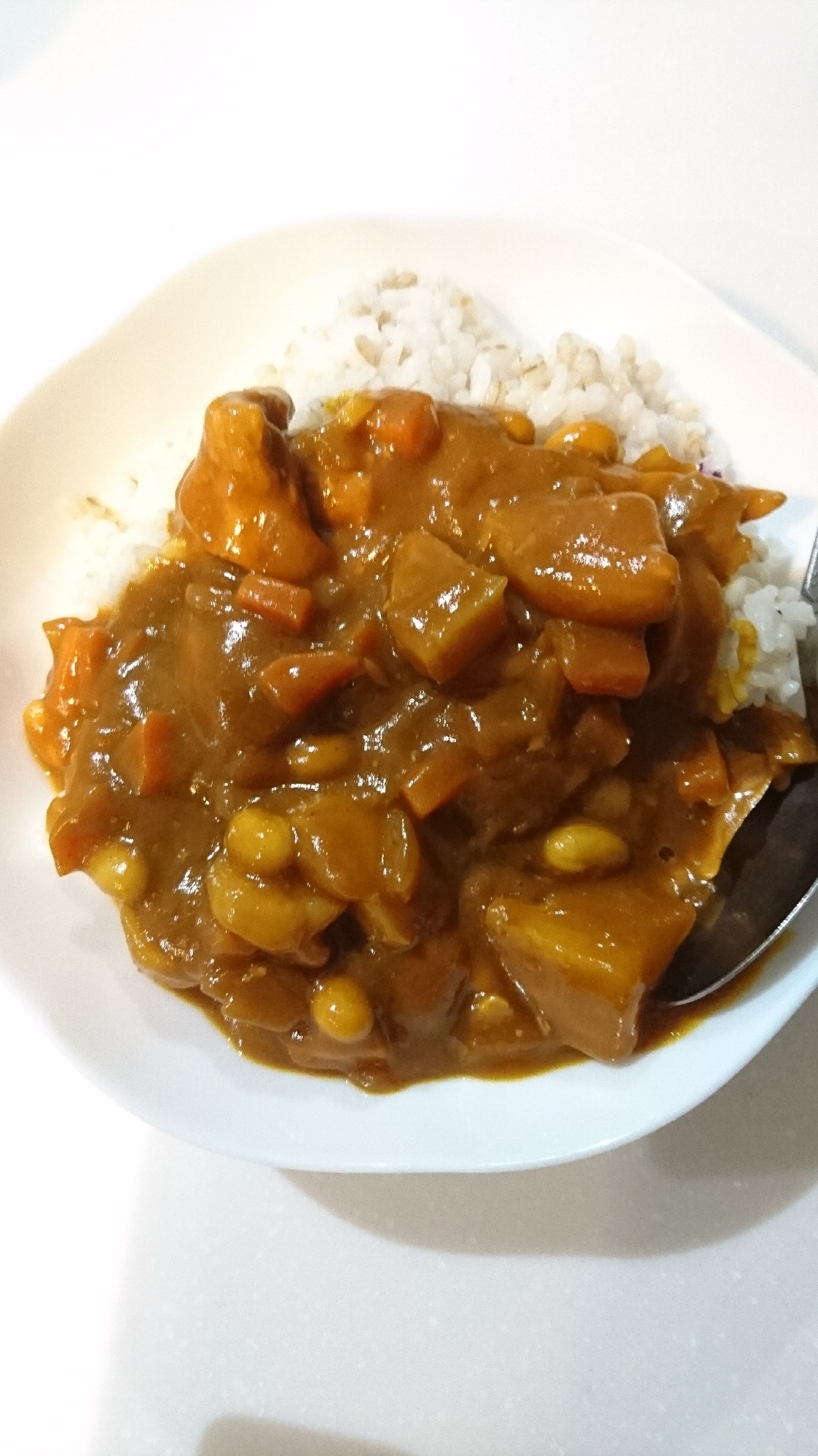 大豆たっぷりカレー