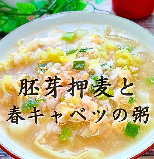 押し麦と春キャベツの粥『栄養補給にお薦めです』