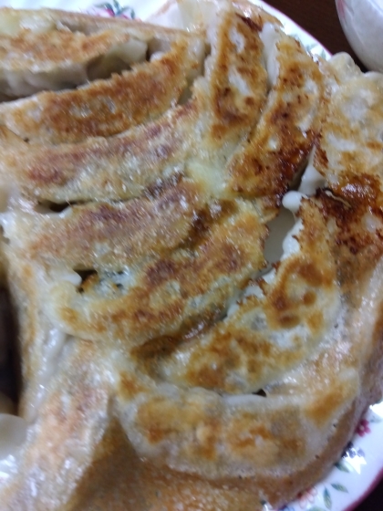 とまらなくなる焼き餃子！