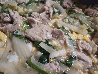 豚肉とホウレン草の和風炒め