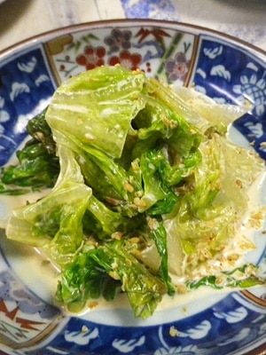 サニーレタスマントルピース b15152bbc455f84fba5939dcc4504c