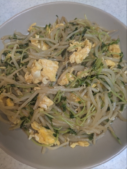 豆苗ともやしと卵のオイスターソース炒め