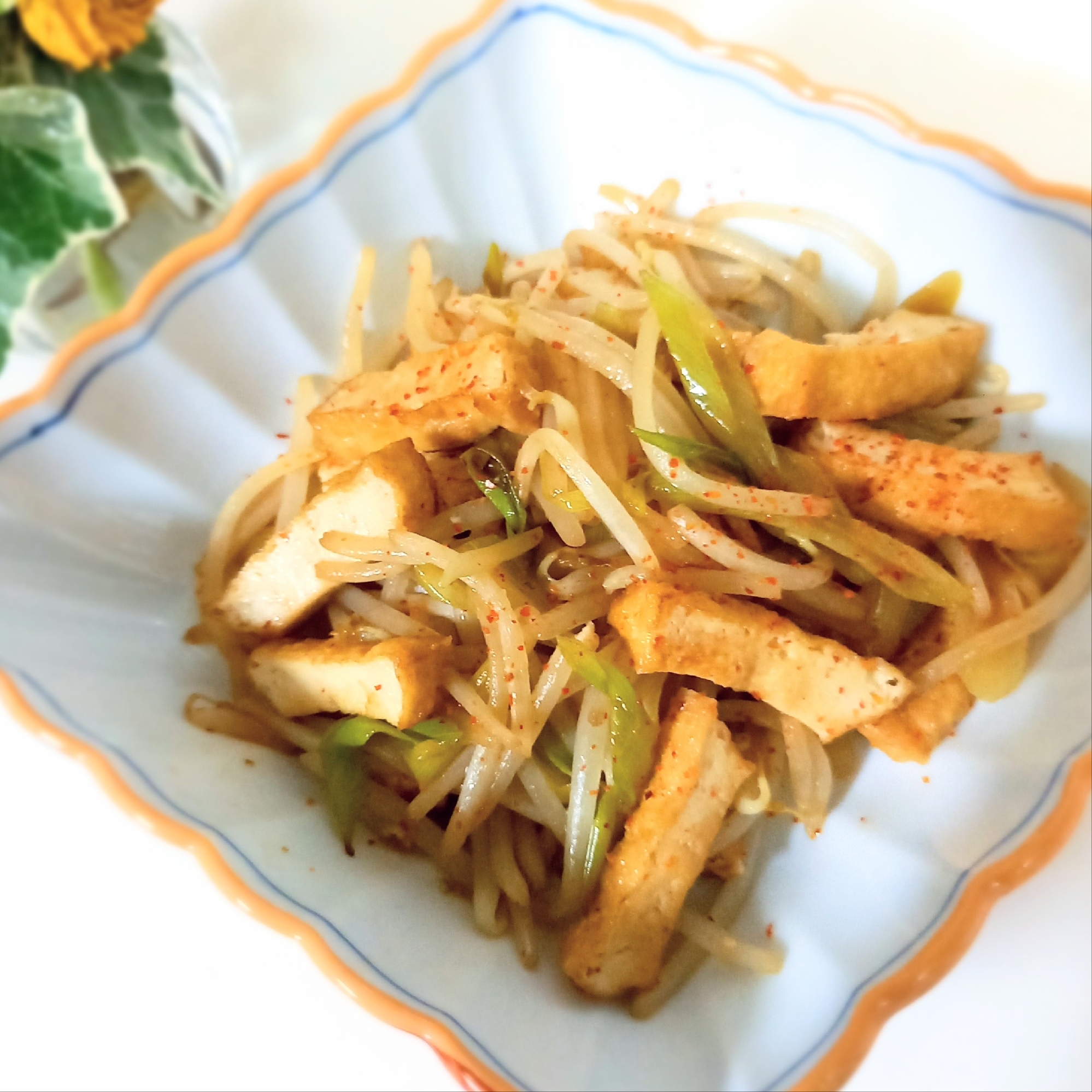 厚揚げと長ねぎのもやし炒めꕤ୭*