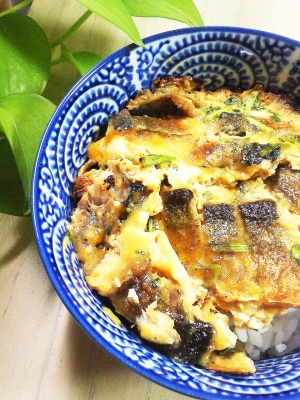 夏の調理はパパッと…丼物ならカンタンです！