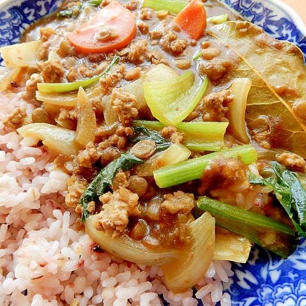 早い！豆入りで❤合い挽き肉のカレー♪（+スパイス）