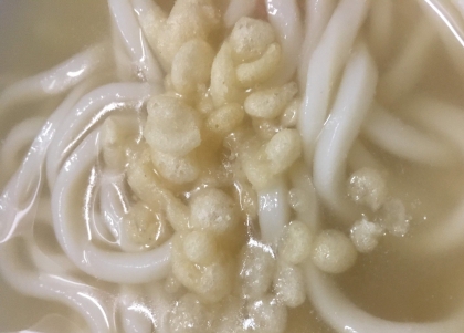 天かすたっぷり☆たぬきうどん