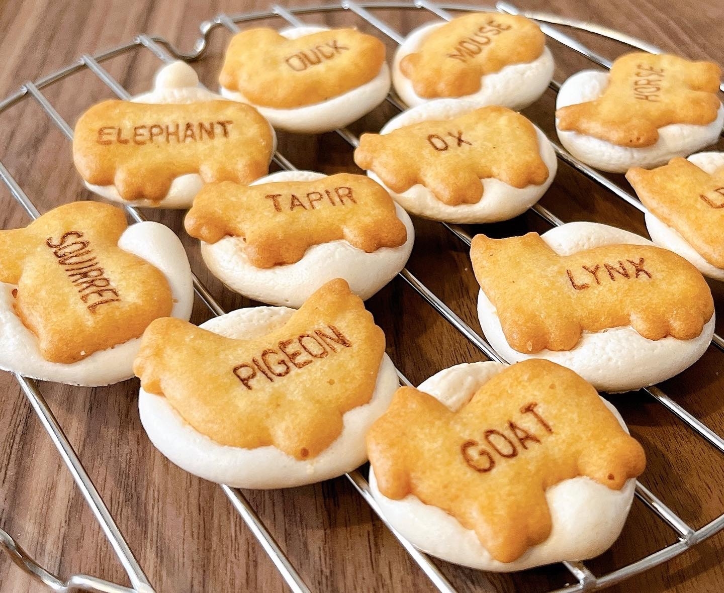 簡単かわいい!マシュマロクッキー