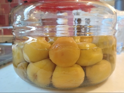 母直伝！お湯をかける 簡単♪梅干しの作り方