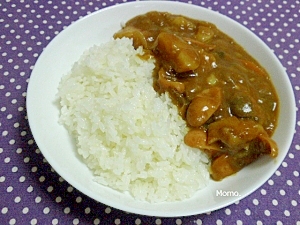 トロトロ～なす入りカレー