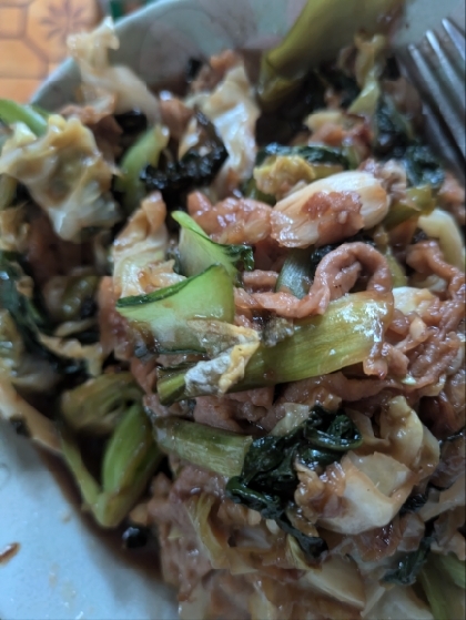 豚肉とキャベツとチンゲン菜のオイスターソース炒め