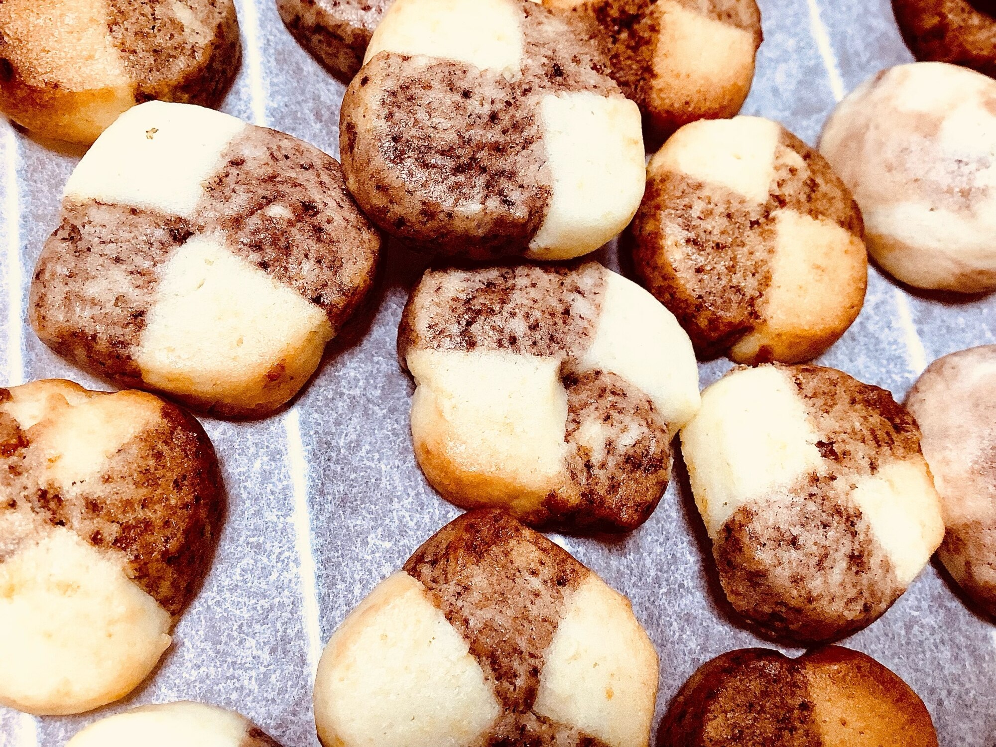 アイスボックスde市松模様クッキー レシピ 作り方 By Su Su 楽天レシピ