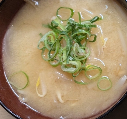 白菜ともやしと小ねぎの味噌汁