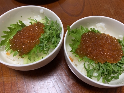 いくら漬丼